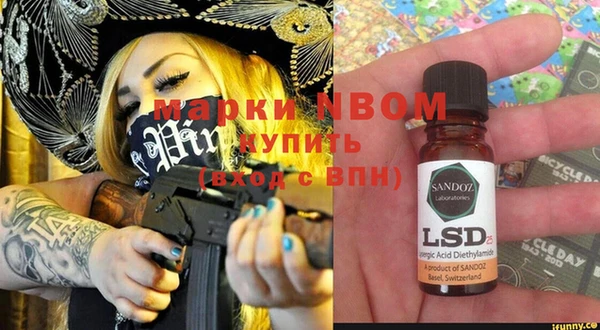 прущие грибы Абинск
