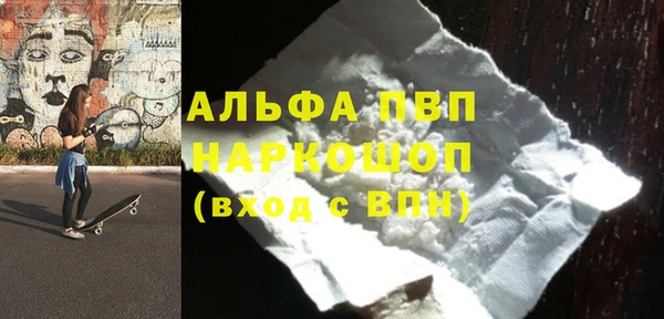 прущие грибы Абинск