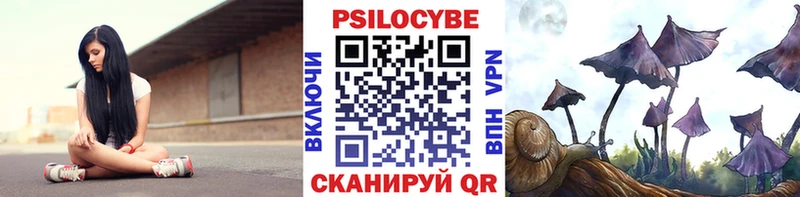 Галлюциногенные грибы Cubensis omg зеркало Ивантеевка